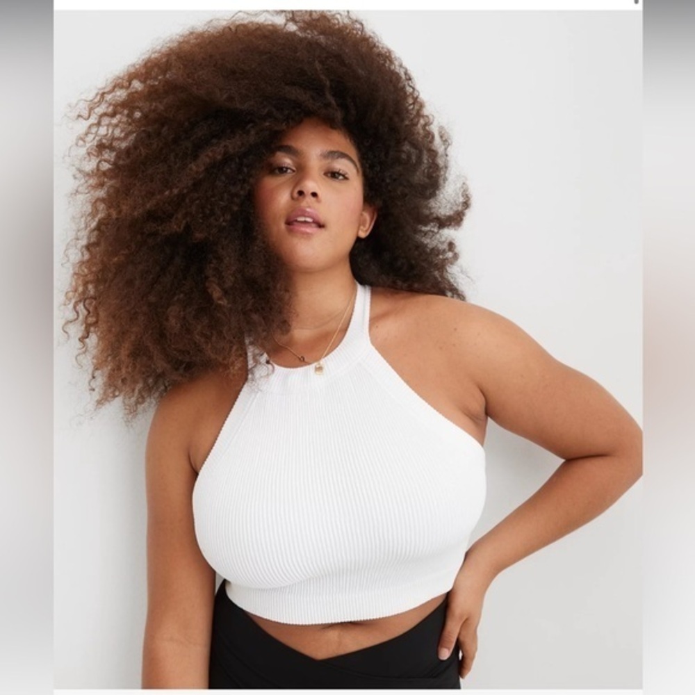 NWT Aerie Superchill Seamless High Neck Bra Top